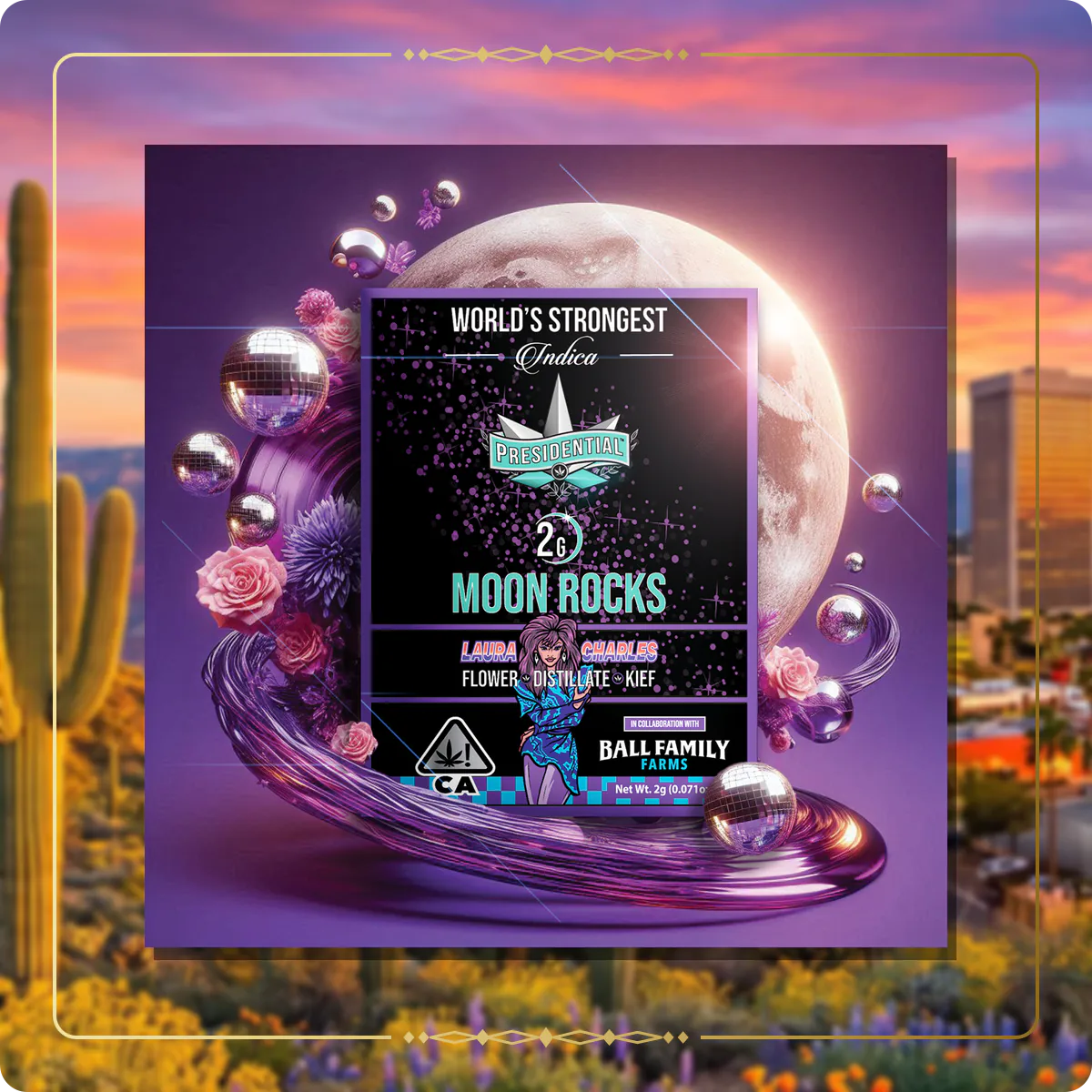 Laura Charles Presidential Moon Rock variant 2 for the Arizona Moon Rocks page